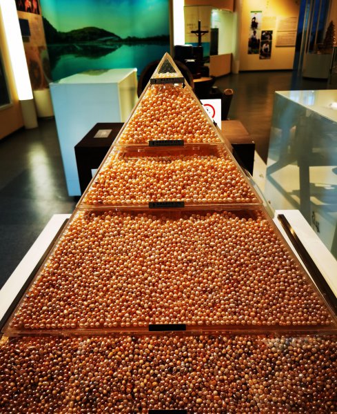 养殖珍珠的形成过程