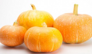 南瓜家常做法 南瓜家常做法步骤