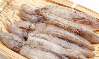 鱿鱼花可以煮多久熟吃 鱿鱼花怎么做才好吃