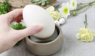 孕妇后期吃鹅蛋有什么好处 孕妇后期吃鹅蛋有哪些益处呢