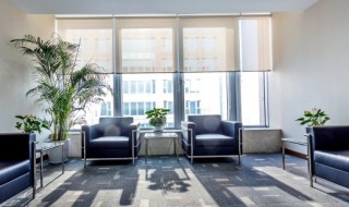 客厅适合养什么花卉啊 适合放在客厅的花卉植物有哪些