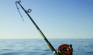 钓鱼技巧鲫鱼草鱼 钓鱼的技巧介绍