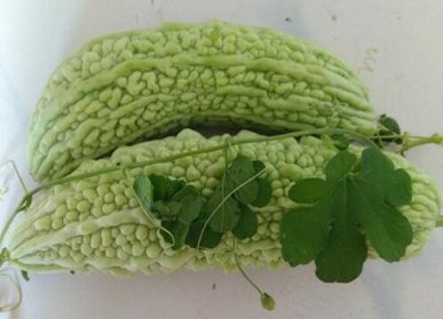 苦瓜和什么不能一起吃 与什么同食相克