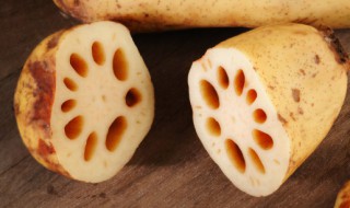 宝宝吃藕的好处和坏处 宝宝吃藕有啥好处和坏处