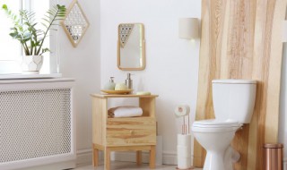 卫生间装饰品小物件是什么 卫生间装饰品小物件有哪些