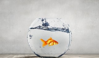 鱼缸斜对着卧室可以吗 鱼缸可以斜对着卧室吗