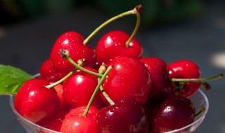 家庭樱桃种植方法 怎么在家里种樱桃