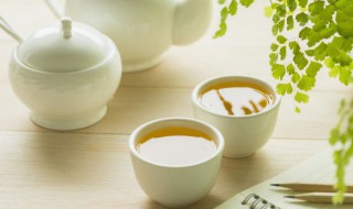 普通茶叶冷泡茶如何泡的 普通茶叶冷泡茶怎么泡