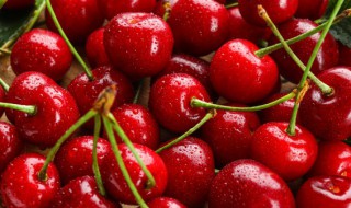 车厘子可不可以多吃 车厘子能不能多吃