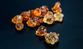 如何辨别桃胶的好坏 怎样辨别桃胶的好坏呢