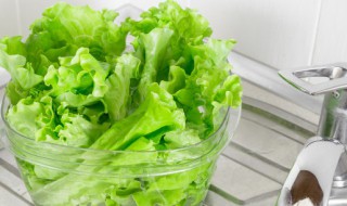 生菜种子需要泡水吗 生菜种子要不要泡水