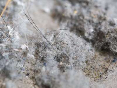 空气净化器能减少灰尘吗 用空气净化器能清除屋里灰尘吗