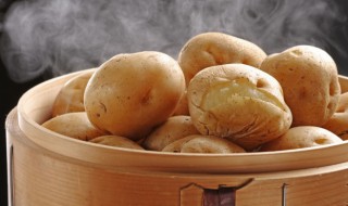 种土豆适合什么季节种植 种土豆适合的季节