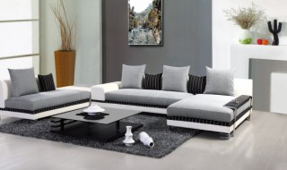 适合室内的大盆栽有哪些 有哪些大盆栽可以种植在室内