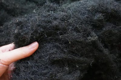 发菜有没有叶绿体 发菜属于什么植物类别