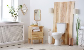 卫生间摆什么物件好 卫生间可以摆什么物件