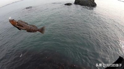 倒钓钩的绑法用几克铅头钩 倒钓手法和注意细节有哪些