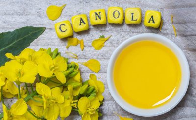 菜籽油炸东西起泡沫怎么解决 为什么菜籽油炸东西有泡沫