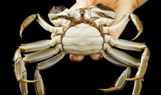 大闸蟹黄发苦怎么回事 大闸蟹黄发苦的原因是什么