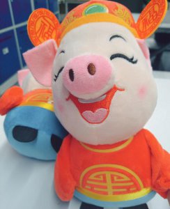 生肖猪的性格优点缺点 12生肖属猪的缺点是什么