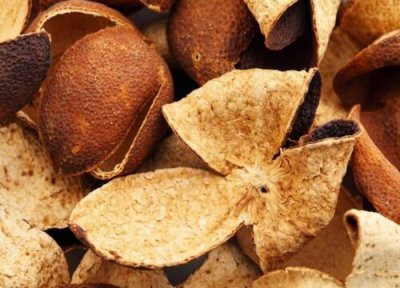 陈皮是什么果子的皮做的 陈皮是青皮好还是红皮好