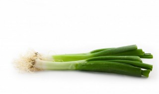 新鲜葱怎么保存时间久 葱如何长期保存