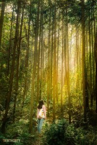 武汉附近有什么好玩的景点 武汉小众但值得游玩的地方推荐