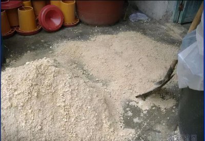 豆渣发酵饲料制作方法 豆腐渣不能直接做饲料使用