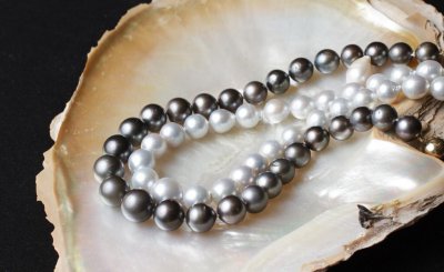 养殖珍珠的形成过程 人工养殖珍珠的过程分为几个阶段