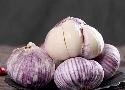 紫皮大蒜亩产量多少斤