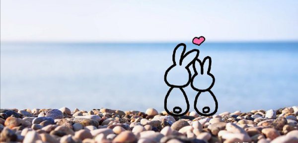 长久的感情靠什么维持