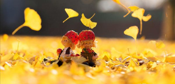 长久的感情靠什么维持