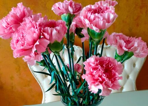 鲜花放冰箱可以保鲜吗