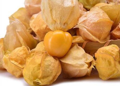 灯笼果的功效与作用及食用方法