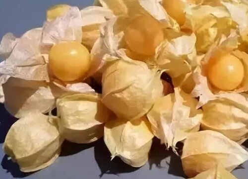 灯笼果的功效与作用及食用方法