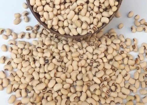 农村的饭豆又叫什么豆