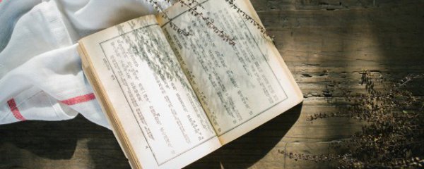 重阳节有什么诗