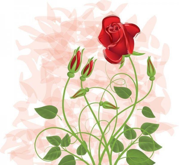 一年12个情人节列表