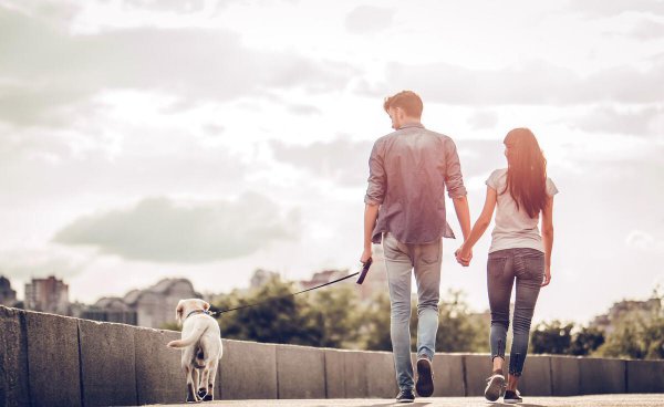 一年12个情人节列表