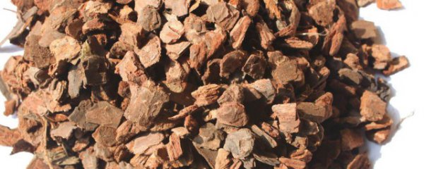 怎样判断松树皮腐熟了