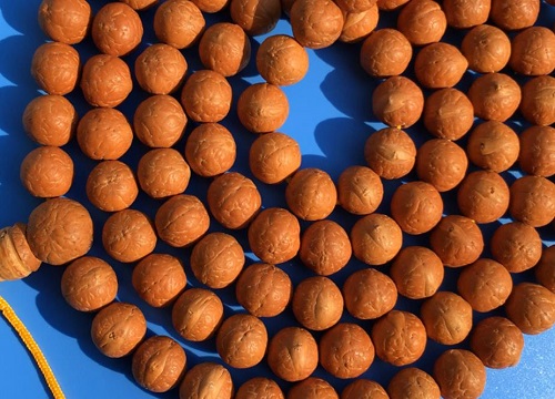 凤眼菩提12mm的现在不值钱了