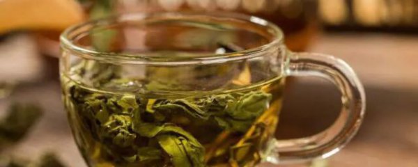 喝什么茶排毒效果最好