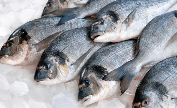 营养价值高的深海鱼有哪些