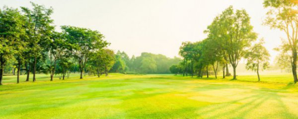 新疆的美景有哪些