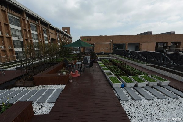 中国计量大学排名多少