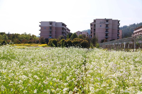 中国计量大学排名多少