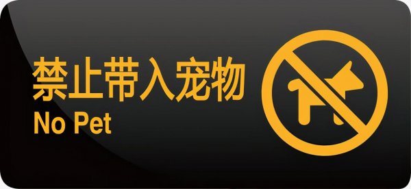 导盲犬一般是什么品种