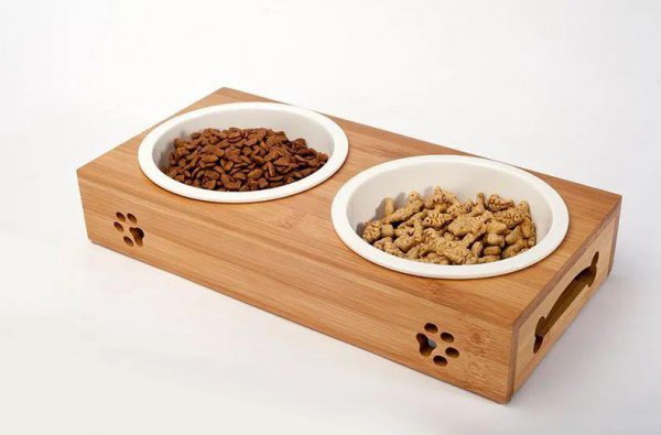 养狗需要做哪些方面的准备