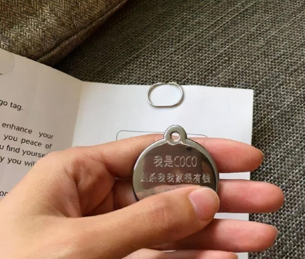 养狗需要做哪些方面的准备