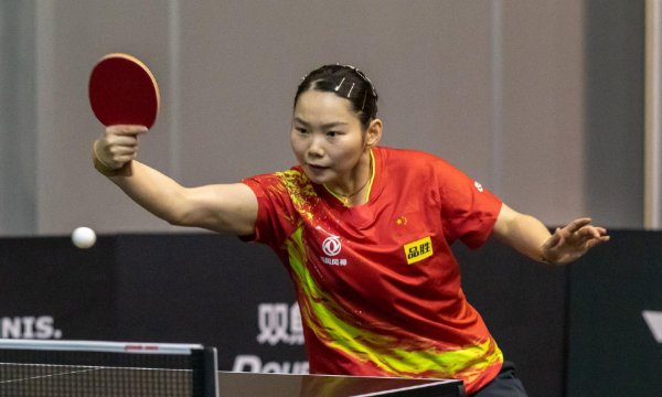 世界乒乓球排名前十位